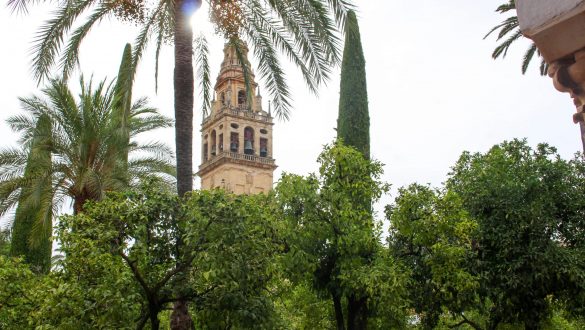 Cour Mezquita