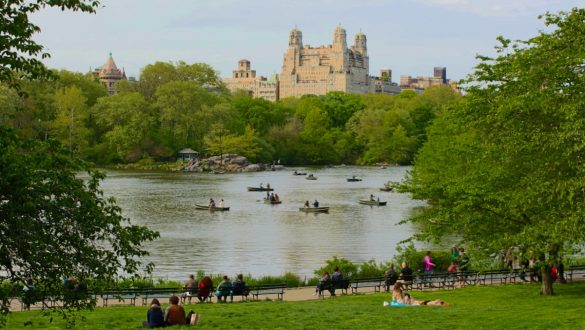 Central park new york