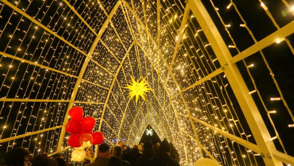 Christmas Garden Berlin