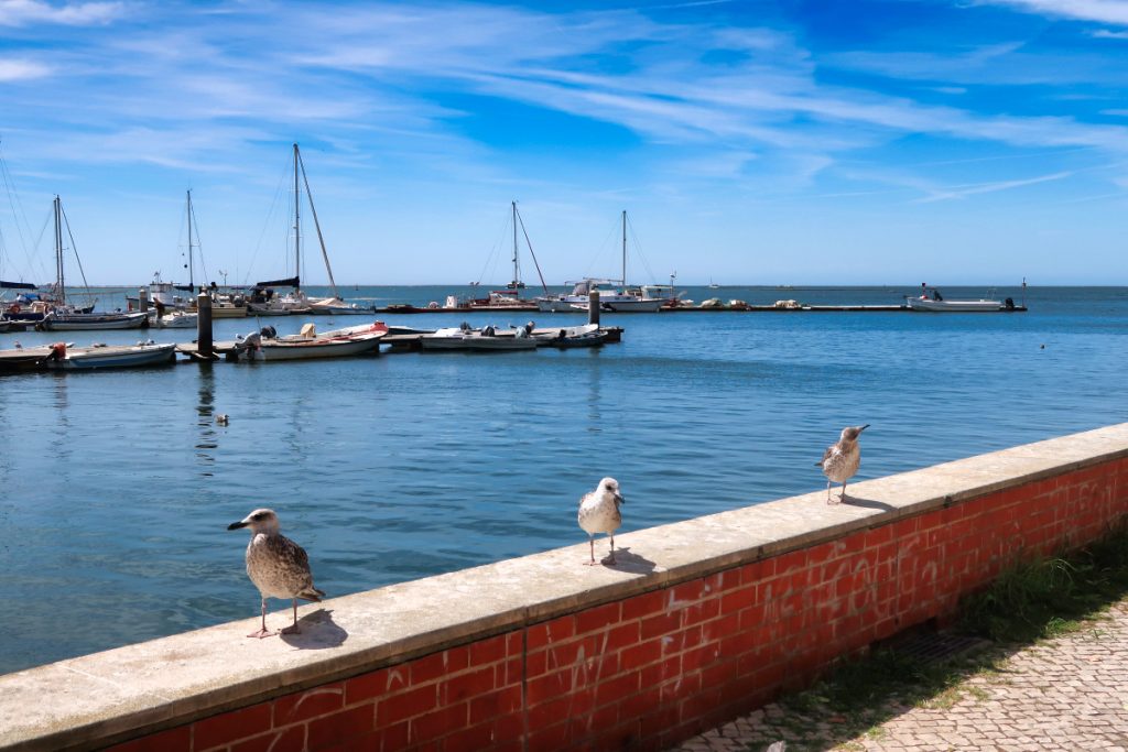 Olhao