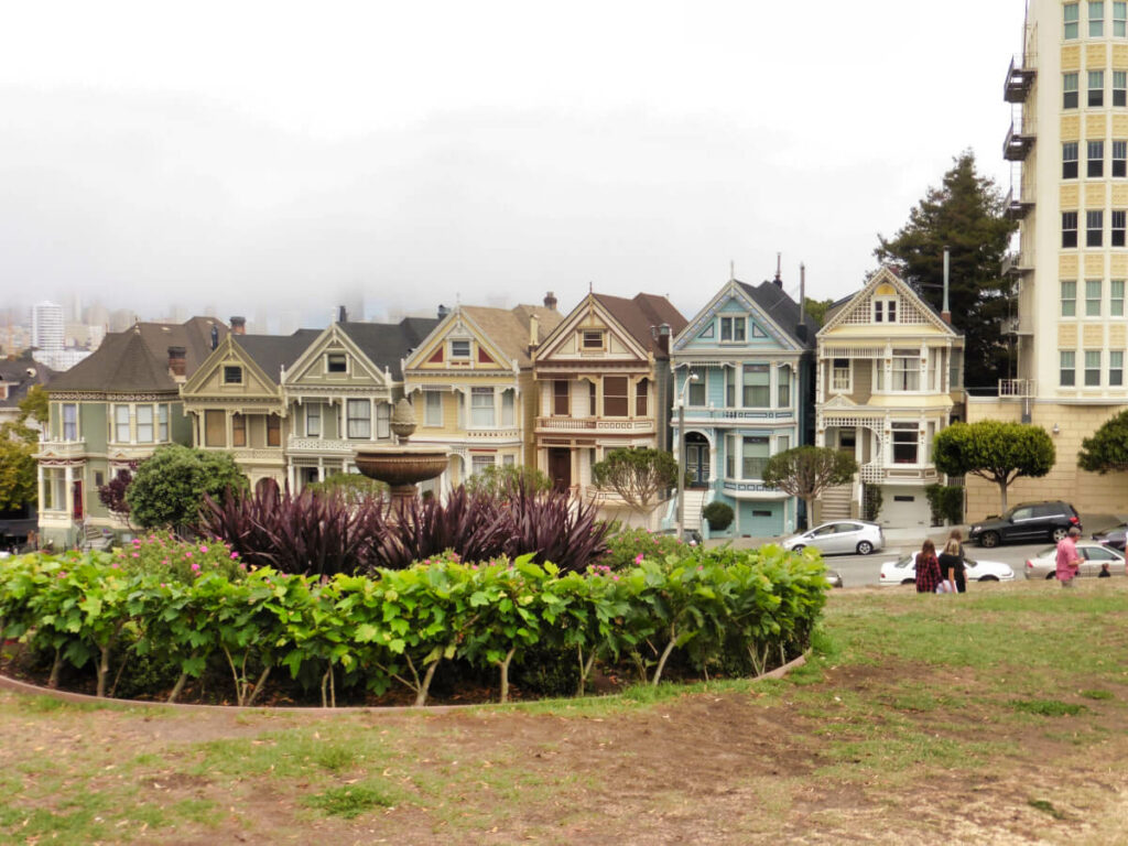 Painted Ladies