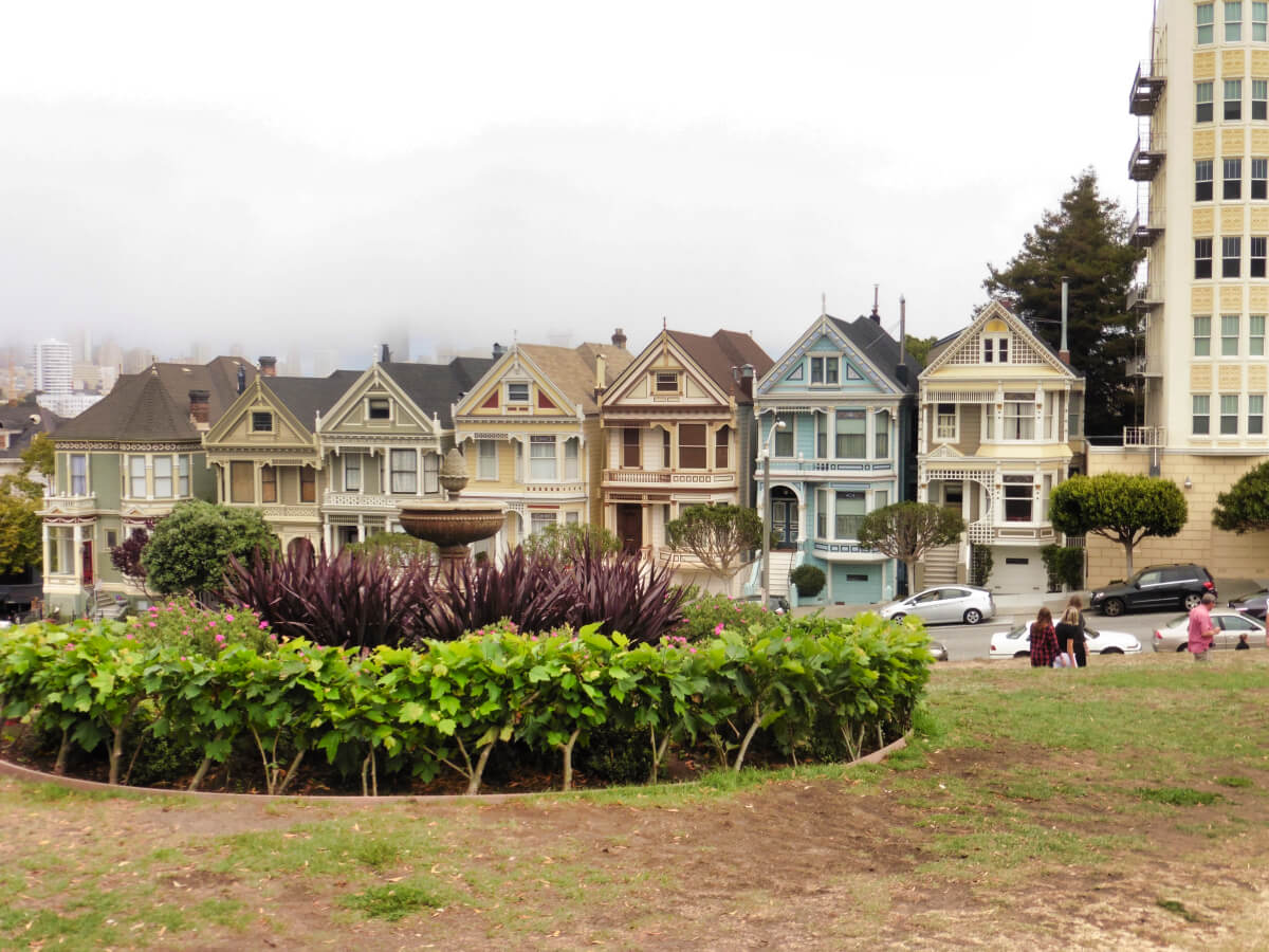 Painted Ladies