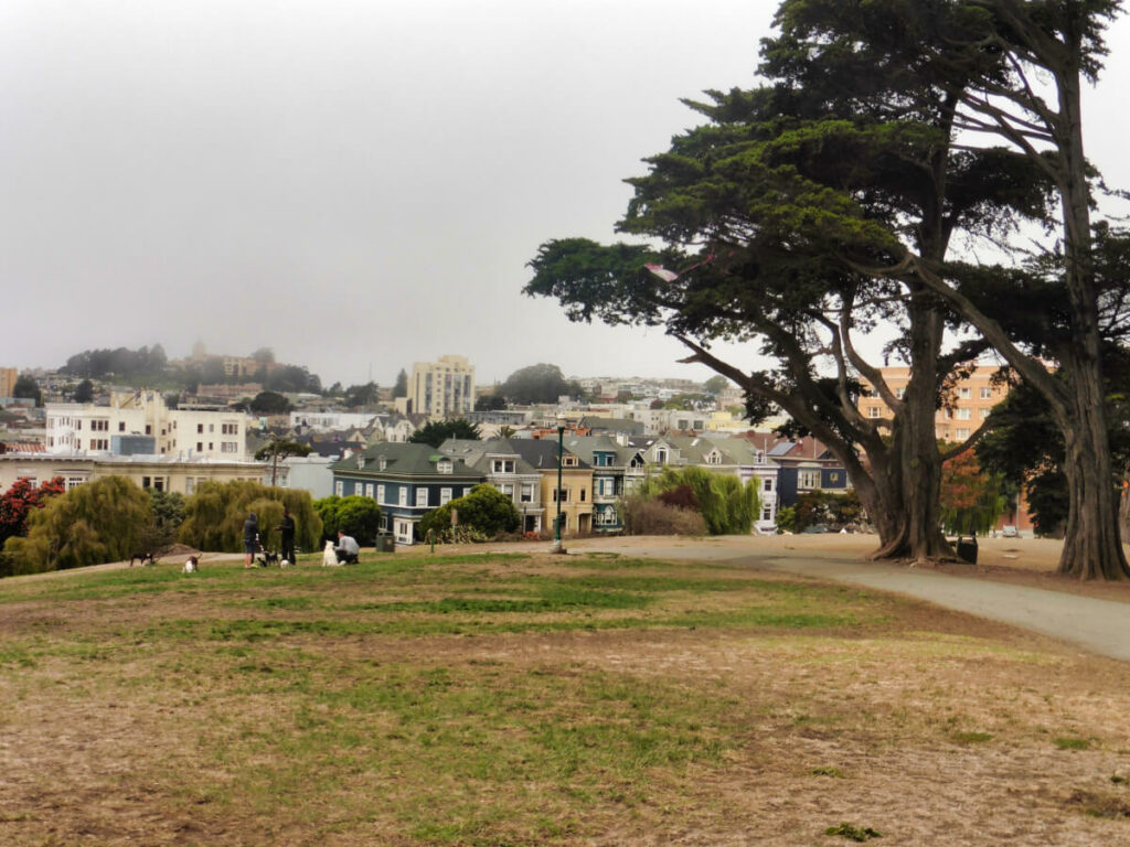 Alamo Square