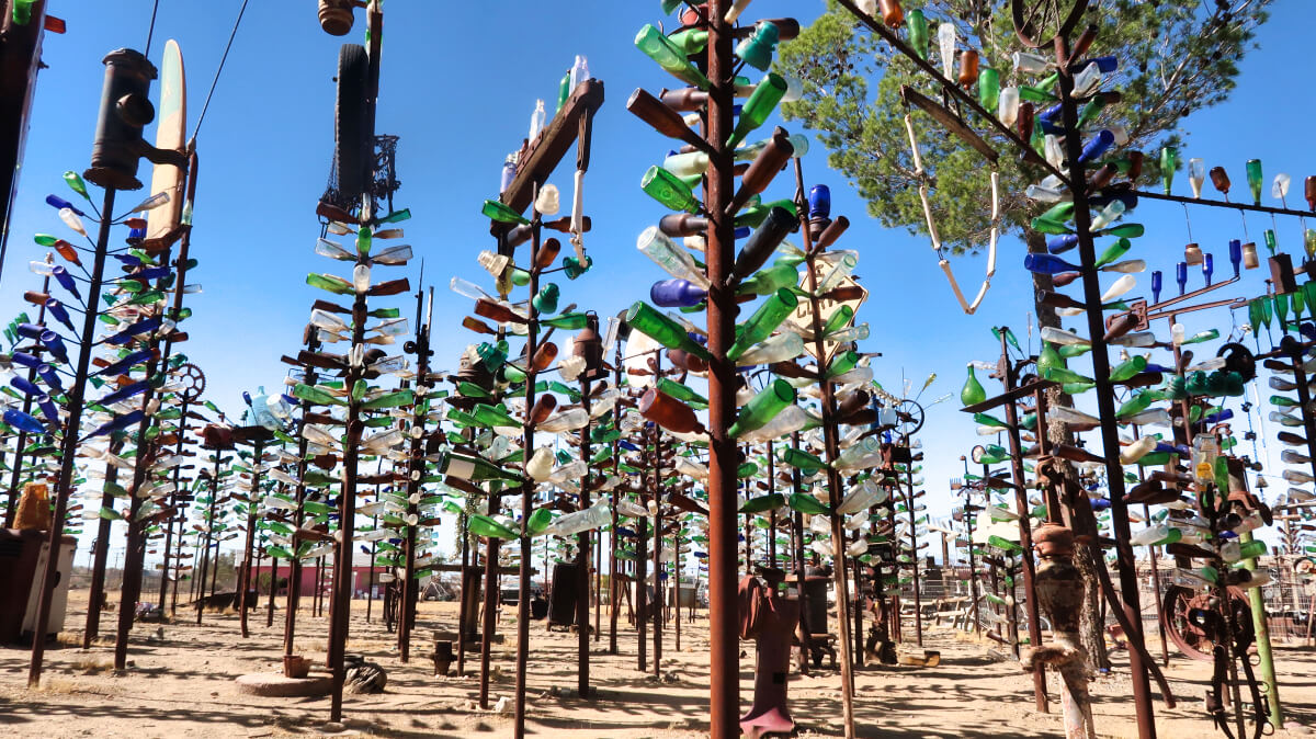 Elmer's Bottle Tree Ranch